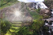 ritual path dvd image